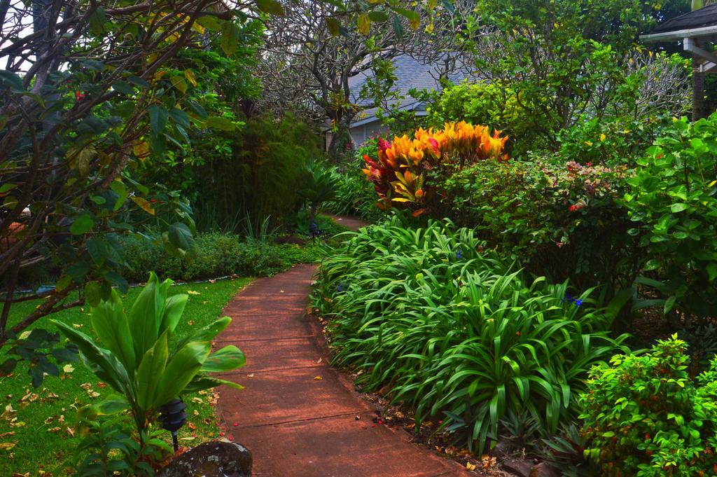Banyan Tree B&B Retreat Makawao Экстерьер фото